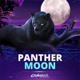 Bocoran RTP Slot Playtech Panther Moon